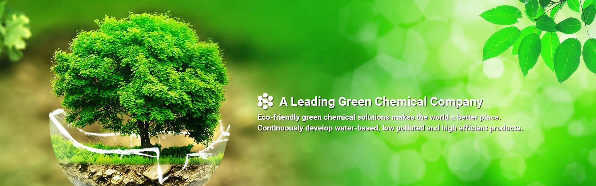 A Leading Green Chemical Company